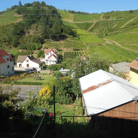 Apartament Les Vendangeurs Niedermorschwihr Zewnętrze zdjęcie